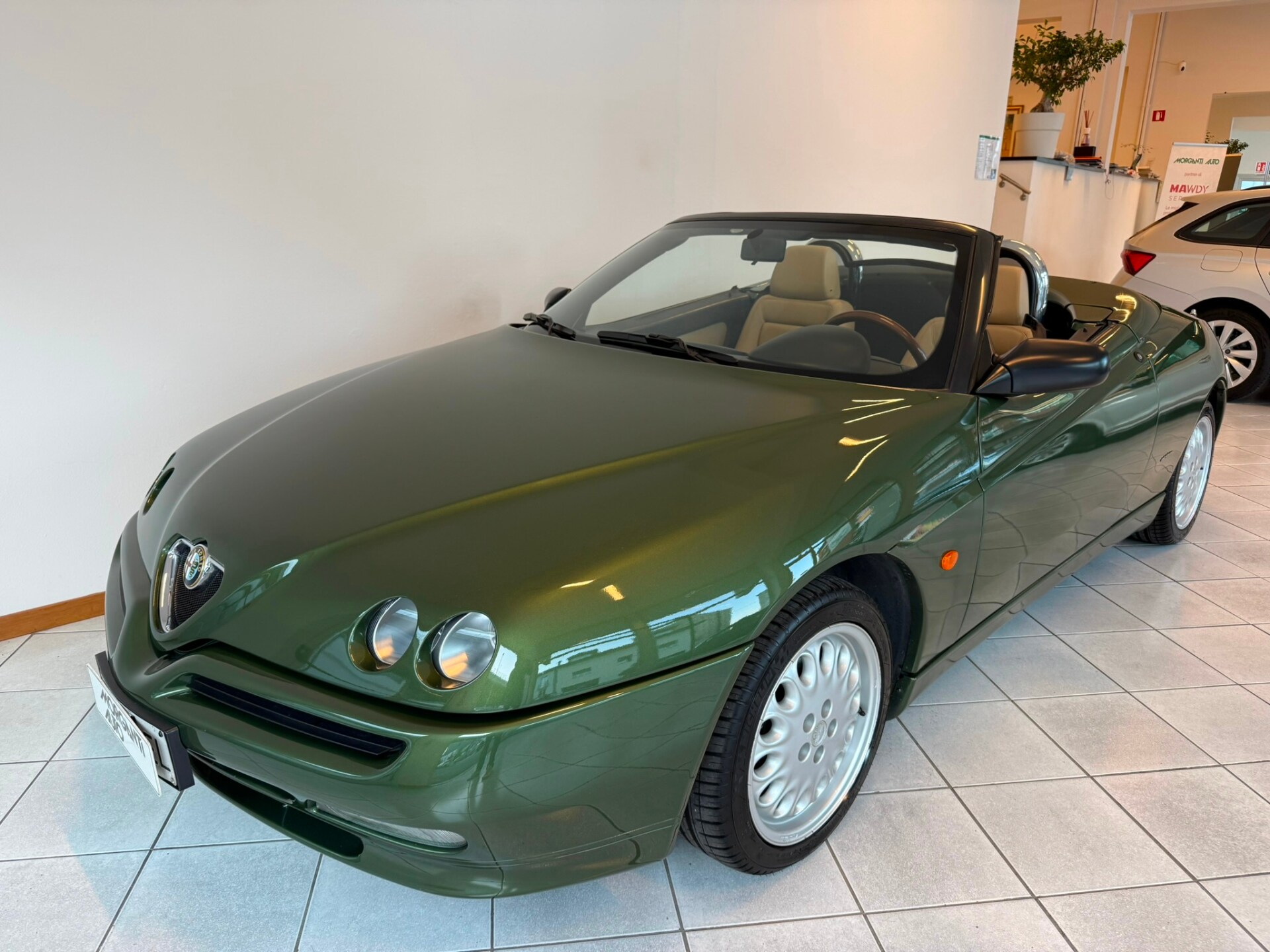 ALFA ROMEO Gtv/Spider
